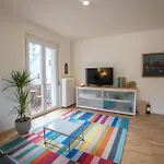 Jungstay Apartments- Near Basel